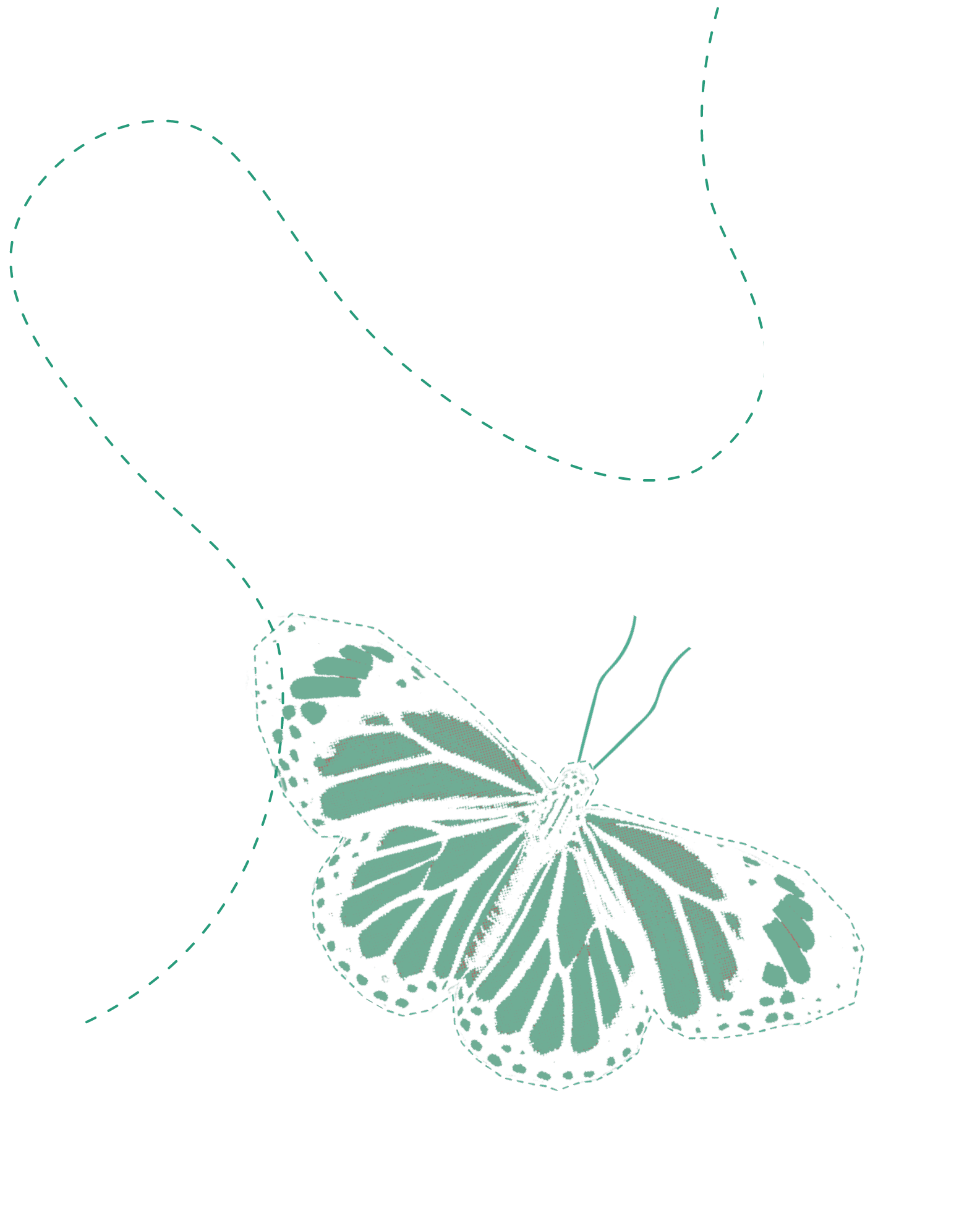 Decorative butterfly