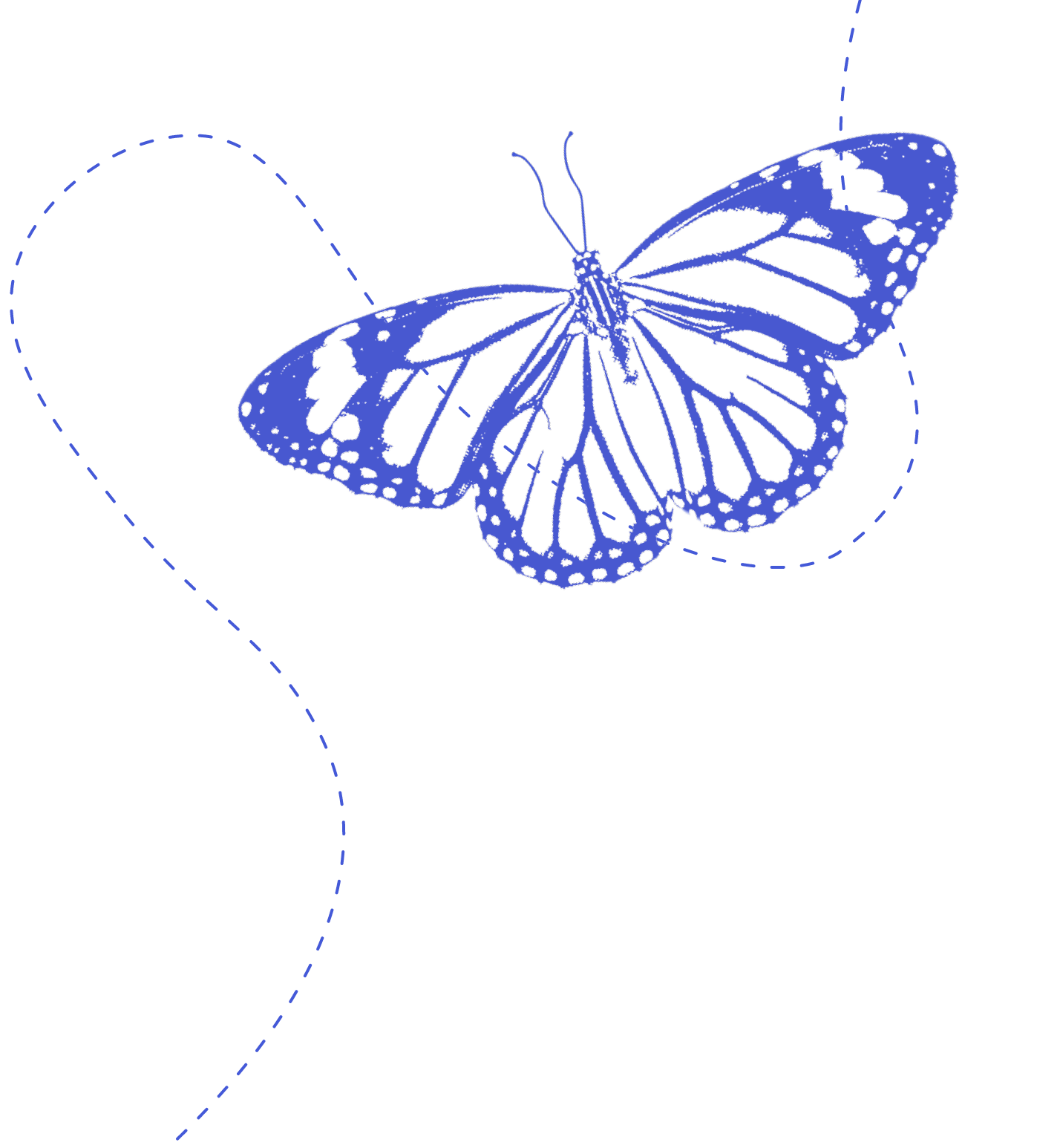 Decorative butterfly