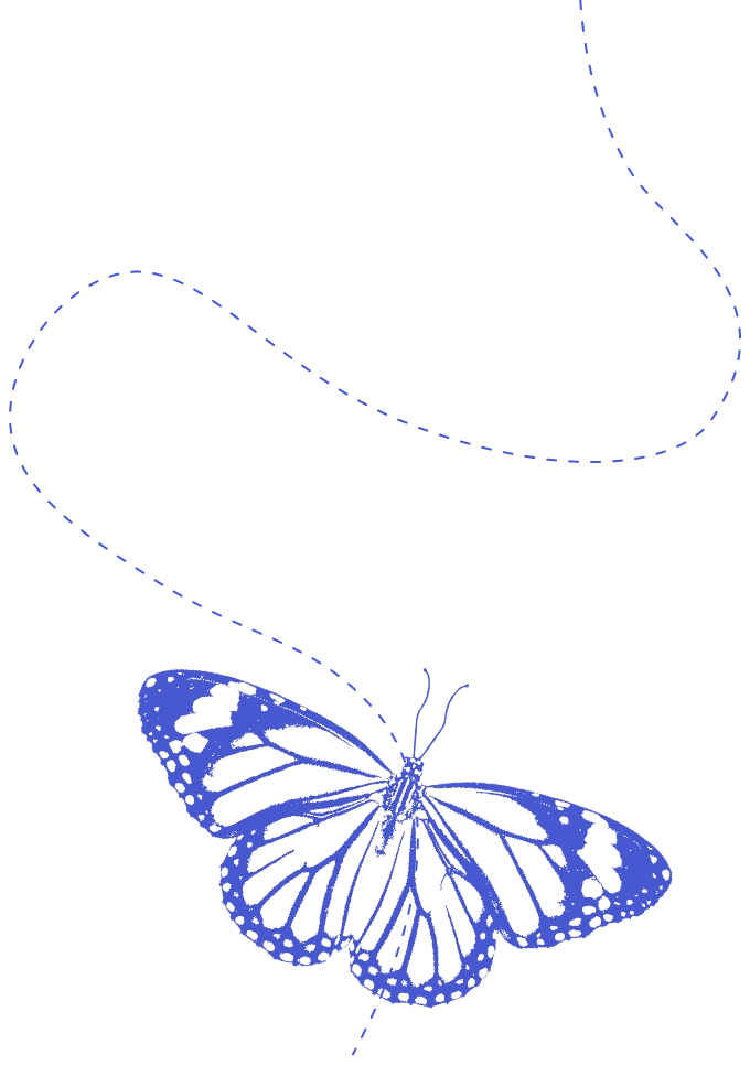 Decorative butterfly