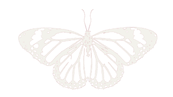 Decorative butterfly