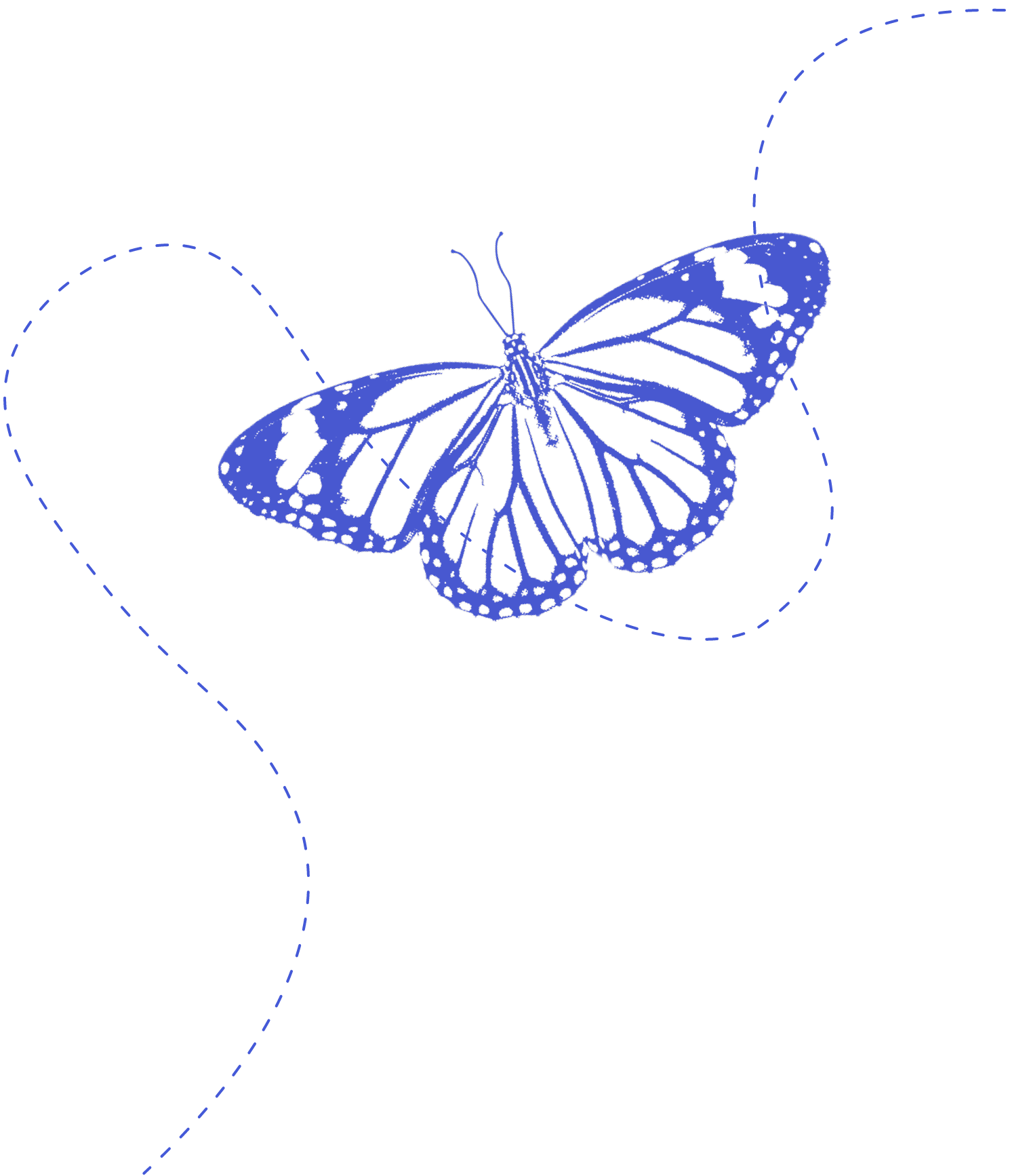 Decorative butterfly