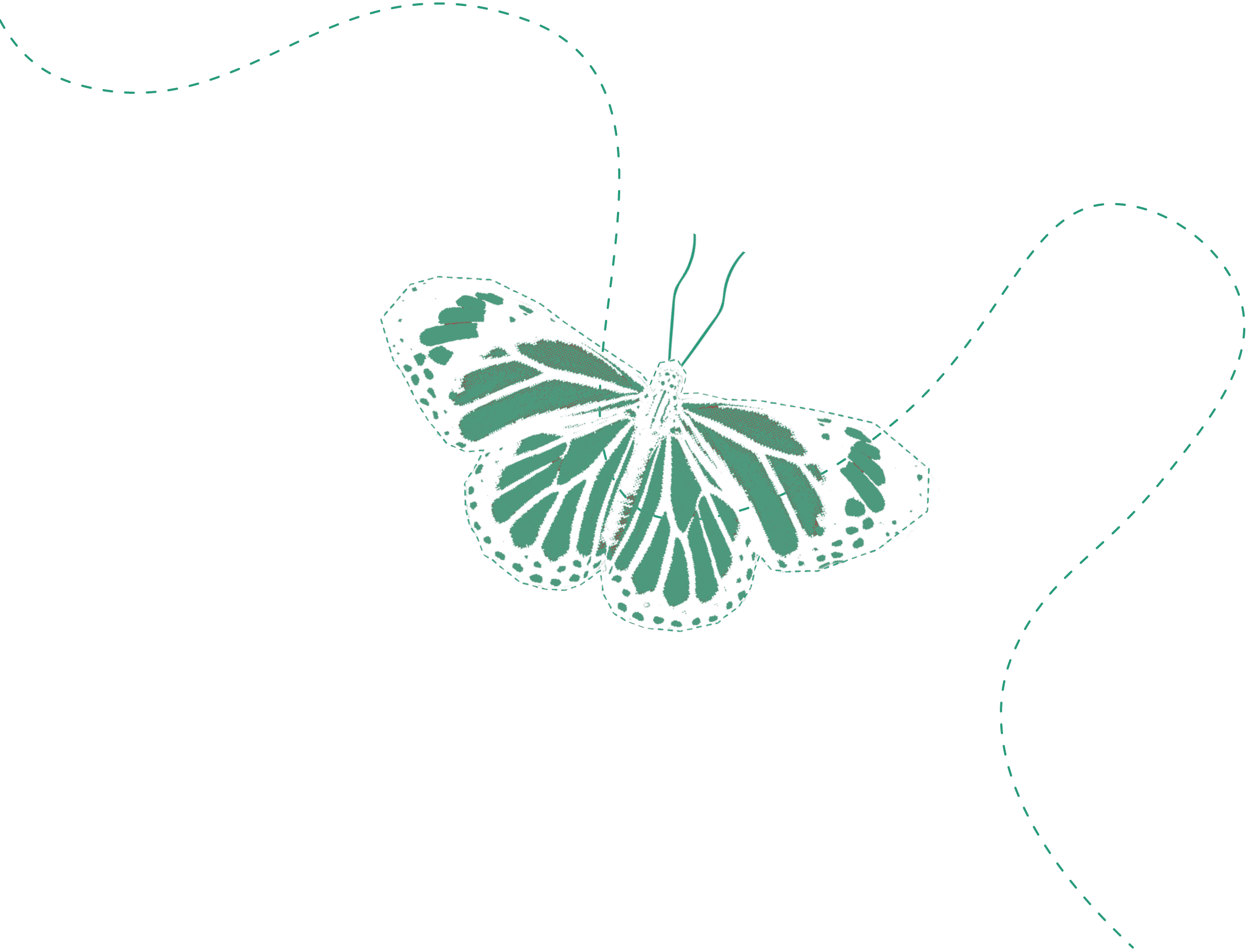 Decorative butterfly