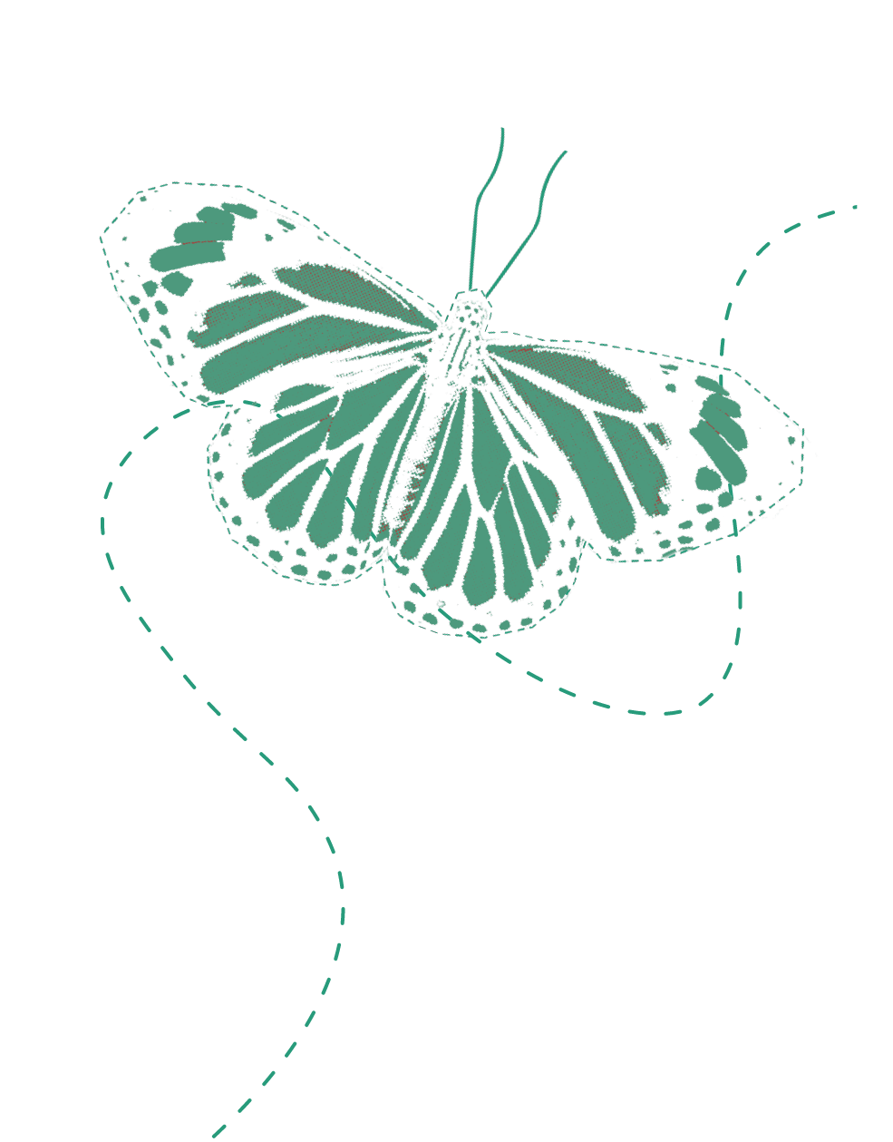 Decorative butterfly